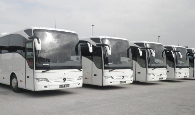 Republika Srpska: Bus company in Janja in Janja and Bosnia and Herzegovina